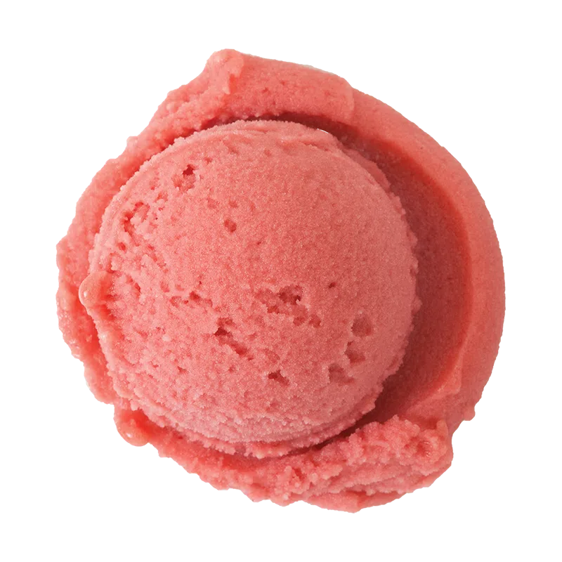 1.5 Gallon Raspberry Sorbet - Image 2