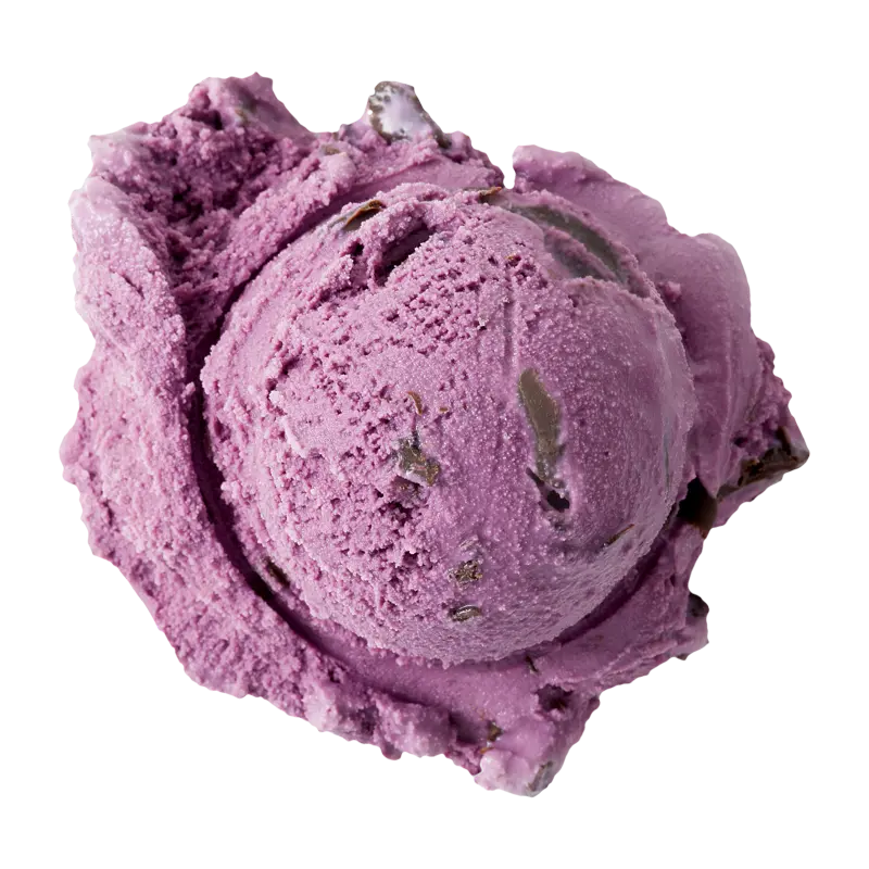Bulk 2.5 Gallon Black Raspberry Chocolate Chip - Image 2