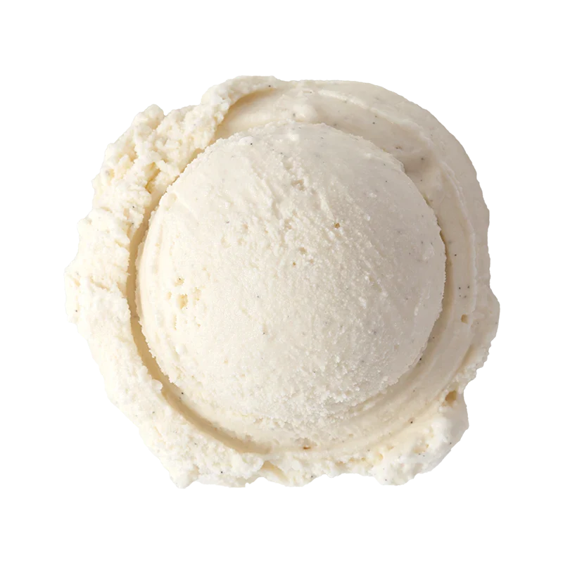 Bulk 2.5 Gallon Madagascar Vanilla Bean wholesale - Image 2