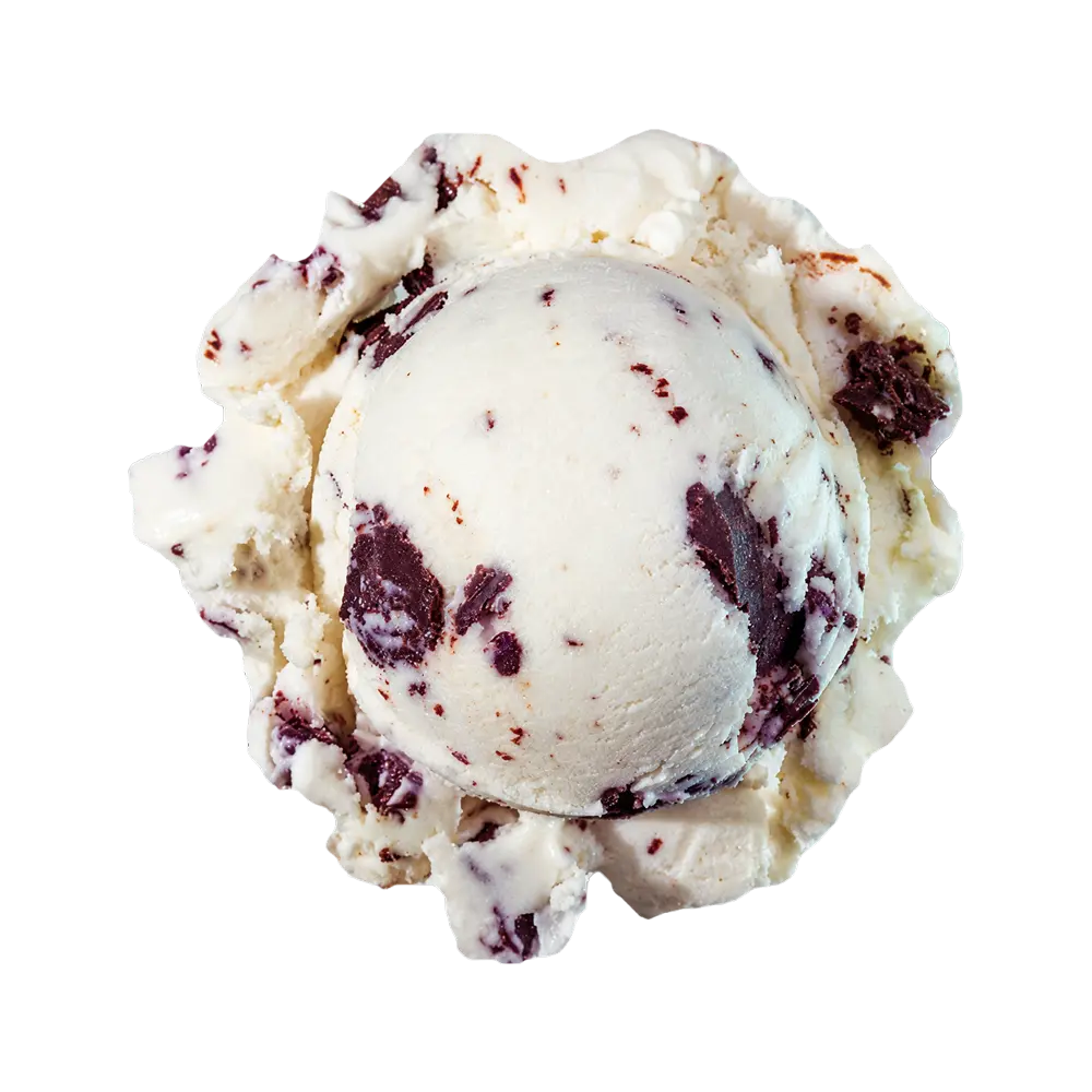 Mint Chip - Image 2