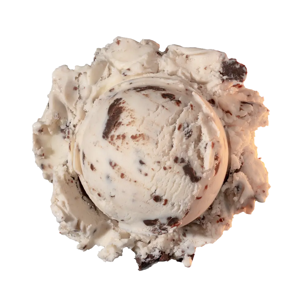 Chocolate Chip - Image 2